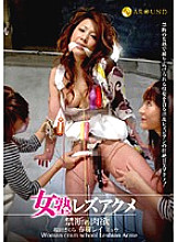 Poster: CJD-20 Girls School Lesbian Acme