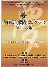 Poster: DPH-117 Extraordinary Agony Collection Vol13