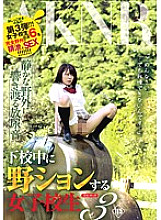 Poster: FSET-664 School Girls Who Go Wild While Leaving School 3 Poster: FSET-664 School Girls Who Go Wild While Leaving School 3