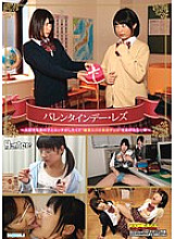 Poster: HUNT-964 Valentines Day Lesbianif You Want To Have Sex With That Girl You Love And Give Him Afavorite Chocolate With Aphrodisiac