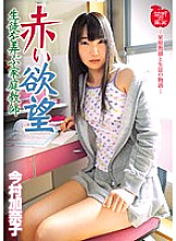 Poster: KDKJ-046 Red Desire Tutor Kanako Imamura Playing With Students Poster: KDKJ-046 Red Desire Tutor Kanako Imamura Playing With Students