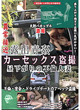 Poster: LHBB-098 Exposure Aokan Car Sex Voyeur Poster: LHBB-098 Exposure Aokan Car Sex Voyeur