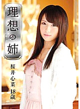 Poster: LOL-065 Playta Special Course Ideal Sister Kokona Sakurai 18 Years Old