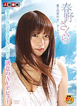 Poster: NGKS-036 Determined Av Debut Sakura Haruno