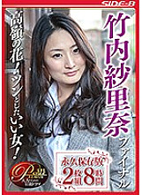 Poster: NSPS-704 Lofty Dream A Nice Woman With A Tsundere Sarina Takeuchi Final Permanent Preservation Version 2 Disc 8 Hours