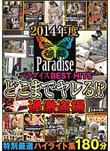 Poster: NXG-329 Fiscal Year 2014 Paradise Best Hits How Far Can You Get Fucked Extreme Voyeur Special Carefully Selected Highlight Collection 180 Minutes