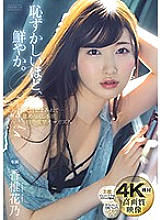 Poster: PRED-302 Wallowing In Shame Sweat And Body Fluidslicking Instinct And Kissing Orgasms Kano Kashii