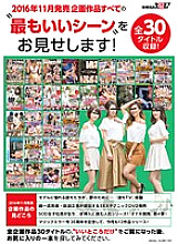 Poster: SDDL-493 Soft On Demand We Will Show You The Quotbest Scenesquot Of All The Planned Works Released In November 2016 All 30 Titles Recorded