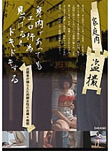 Poster: SPZ-827 9 People Voyeur At Home Who Gets Excited When They Find Erotic Acts Even If They Are Relatives