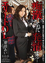 Poster: STAR-336 Gets Horny After Being Molested Elite Office Lady Haneda Ai Poster: STAR-336 Gets Horny After Being Molested Elite Office Lady Haneda Ai